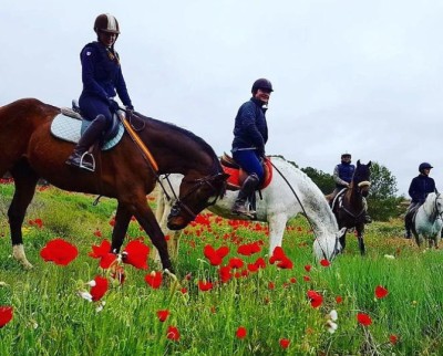 Paseo a Caballo en Alicante en la Sierra del Maigmó