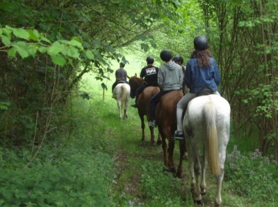 Ruta guiada a Caballo en Valencia | Ruta a caballo en Cofrentes