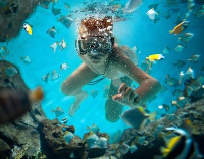 Ruta Submarina de Snorkel en Tabarca con biólogos