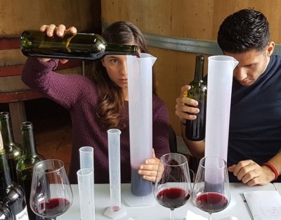 Haz tu propio vino en Bodegas Arráez ✅ Cata de Vino + Almuerzo