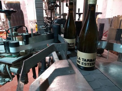 Visita a la Bodega Vera de Estenas y sus Viñedos + Cata de 3 Vinos