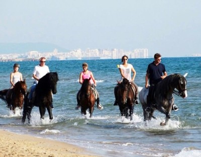Paseo a Caballo en Playa Oliva Nova (Valencia)