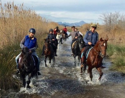 Ruta a caballo en la Marjal Pego Oliva (Valencia)