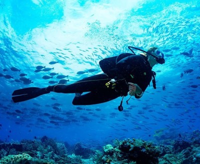 Inmersión de Buceo en Jávea para Buceadores Titulados