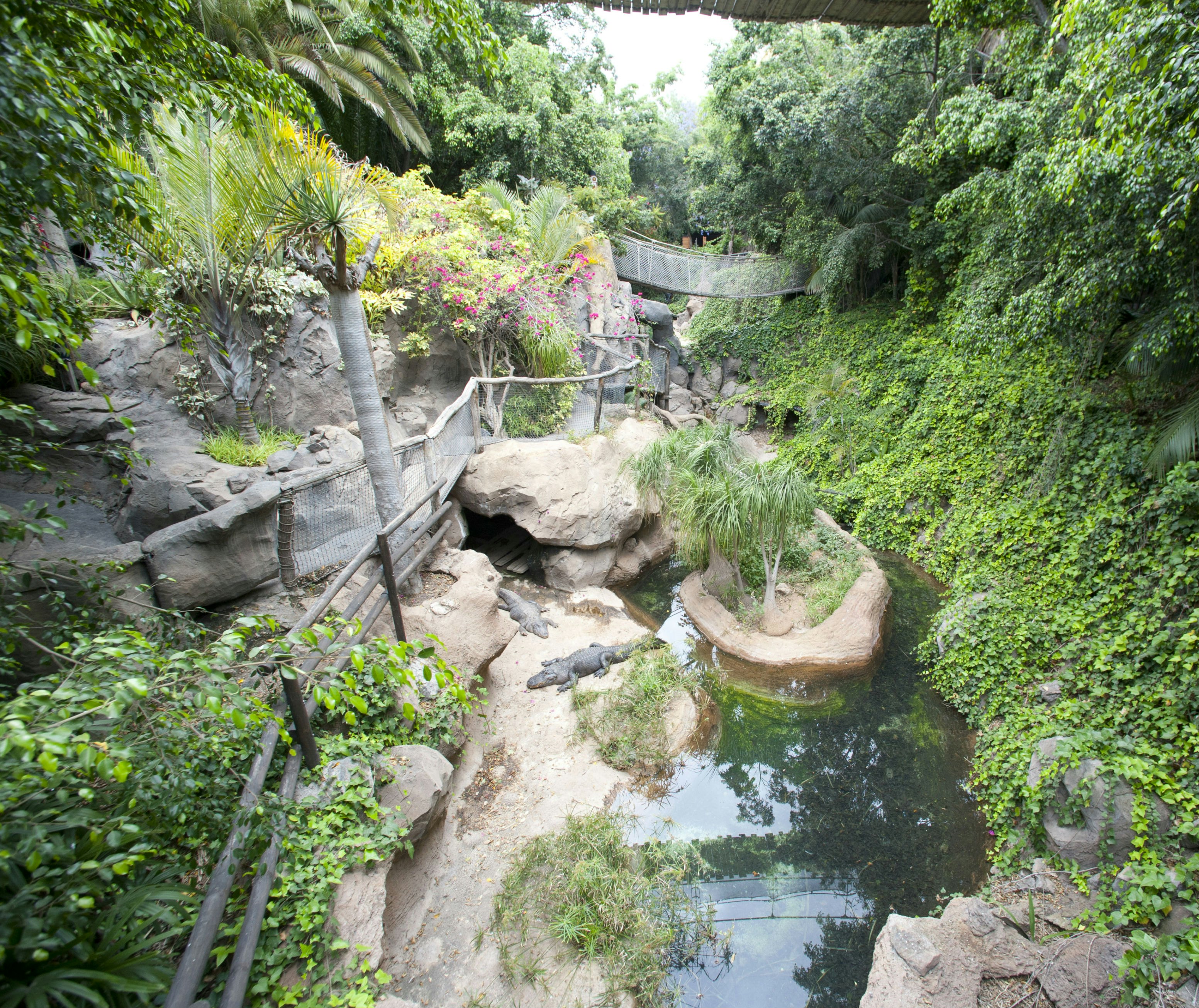 Jungle Park