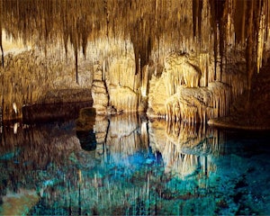 Mallorca: Caves of Drach & Porto Cristo Half-Day Trip by Bus