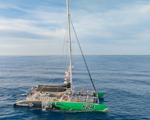 Tenerife: 3-Hour Whale & Dolphin Watching Tour