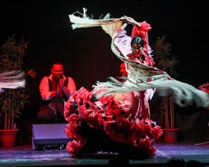 Barcelona City Hall Theater: Flamenco Show