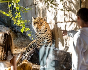 Terra Natura Benidorm: Winter Pass