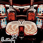 Pub butterfly