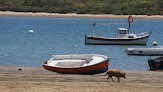 El Río Del Piedras