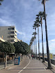 The Boardwalk