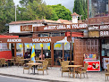 Yolanda