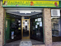 Animalia