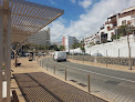 Sol Habana