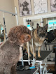 Posh Pooch Grooming Salon