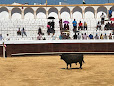 Plaza de Toros de Valverde del Camino