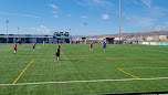 Campo 1 de fútbol Francisco Melián