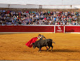 Plaza de Toros de Villanueva de Córdoba