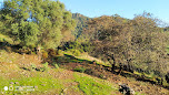 Club VistaSierra
