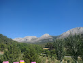Restaurante Rincón de Aniceto
